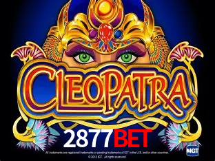 A Experiência Imersiva dos Cassinos Ao Vivo no 2877BET